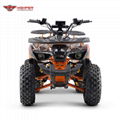 Electric Quad ATV (ATV007E shaft dirve)    4