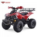 Electric Quad ATV (ATV008E shaft dirve)