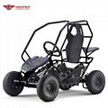 Kids Electric Go Kart Buggy 1000W (GK004E)