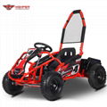 Mini Electric Go Kart 1000W (GK008E) 2