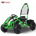 Mini Electric Go Kart 1000W (GK008E) 8