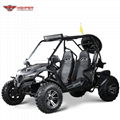 Adult Go Kart B   y 150cc CVT (GK012) 6