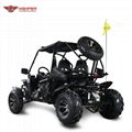 Adult Go Kart B   y 150cc CVT (GK012) 8