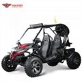 Adult Go Kart Buggy 150cc CVT (GK012)