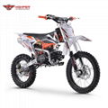 Dirt Bike 125cc, 140cc 17"/14" (DB608) 6