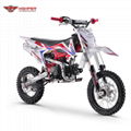 Dirt Bike 125cc, 140cc 14"/12" (DB608) 3