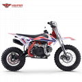 Pit Bike 60cc 4 Stroke (DB-K11) 4