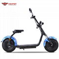 Seev Citycoco Electric Harley Scooter 1000W 60V (HP111E-A)