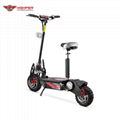 1000W, 1600W Electric Scooter 12" Off Road Wheels (HP107E-B) 2