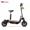 1000W, 1600W,2000W Electric Scooter 12" Off Road Wheels (HP107E-C)