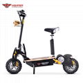 1000W, 1600W,2000W Electric Scooter 12" Off Road Wheels (HP107E-C) 1