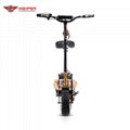 1000W, 1600W,2000W Electric Scooter 12" Off Road Wheels (HP107E-C) 6