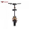 1000W, 1600W,2000W Electric Scooter 12" Off Road Wheels (HP107E-C)