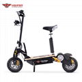 1000W,1600W,2000W Electric Scooter 12"