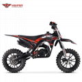 Kids Mini Motocross Dirt Bike 49cc (DB712) 3