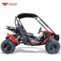 Adult Go Kart 150cc CVT (GK003GT Blazer) 2