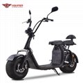 Seev Citycoco Electric Harley Scooter 1000W 60V (HP111E-B)