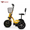 500W48V Electric 3 Wheel Scooter