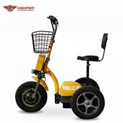 500W48V Electric 3 Wheel Scooter (HP105E-D)