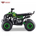Quad ATV 110cc, 125cc (ATV003) 