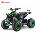 Quad ATV 110cc, 125cc (ATV003)