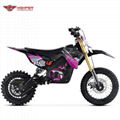 1000W~1300W Electric Dirt Bike (HP113E 12/10) 2