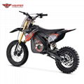 1000W~1300W Electric Dirt Bike (HP113E 12/10) 3