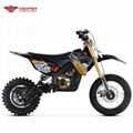 1000W~1300W Electric Dirt Bike (HP113E 12/10) 5