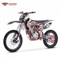 Full Size Dirt Bike (DBK13 CBS300） 3