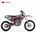 Full Size Dirt Bike (DBK13 CBS300） 2