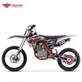 Full Size Dirt Bike (DBK13 CBS300） 1