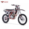 Full Size Dirt Bike (DBK13 CBS300） 4