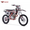 Full Size Dirt Bike (DBK13 CBS300）