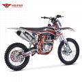 Full Size Dirt Bike (DBK13 CBS300） 5