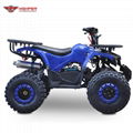 ATV 110cc, 125cc (ATV007)