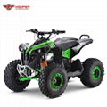 Electric Renegade (ATV003E shaft drive) 1