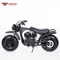 Gas Powered Ride on Mini Bike 212cc (DB-Z13) 2