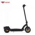 500W Ladies Electric Scooter (HP-I46)