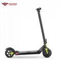250W Electric Scooter (HP-I19)