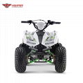 Quad ATV 70cc, 90cc, 110cc (ATV005)