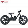 Electric Balance Bike 16" (HP121E)