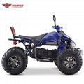Electric ATV 3000W (ATV017E)