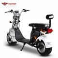 Fat Tire Electric Scooter (CP-1.6) 3