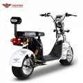 Fat Tire Electric Scooter (CP-1.6)