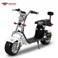 Fat Tire Electric Scooter (CP-1.6) 1