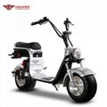 Electric Fat tire Harley Scooter