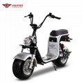 Electric Fat tire Harley Scooter (CP-2.1)