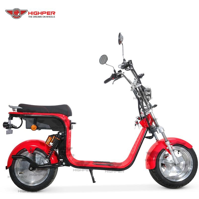 Electric Fat Tire Harley Scooter (CP-2) 3