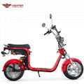 Electric Fat Tire Harley Scooter (CP-2) 3