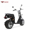 Electric Fat Tire Harley Scooter (CP-2) 4